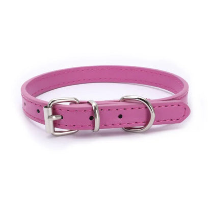 Adjustable Pet Collar with Alloy Buckle – Comfortable Dog Collar for Small, Medium & Large Dogs