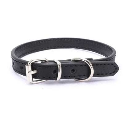Adjustable Pet Collar with Alloy Buckle – Comfortable Dog Collar for Small, Medium & Large Dogs