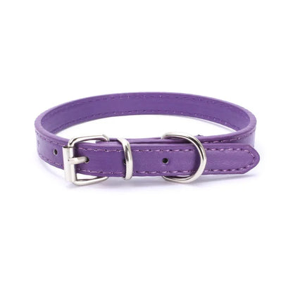 Adjustable Pet Collar with Alloy Buckle – Comfortable Dog Collar for Small, Medium & Large Dogs