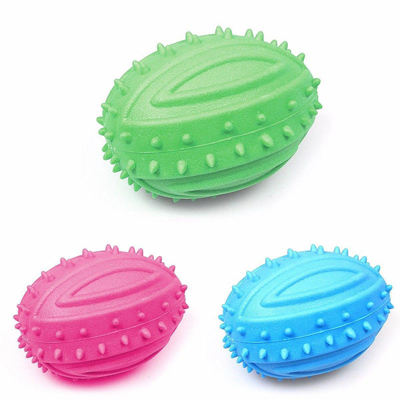 Squeaky Dog Toy